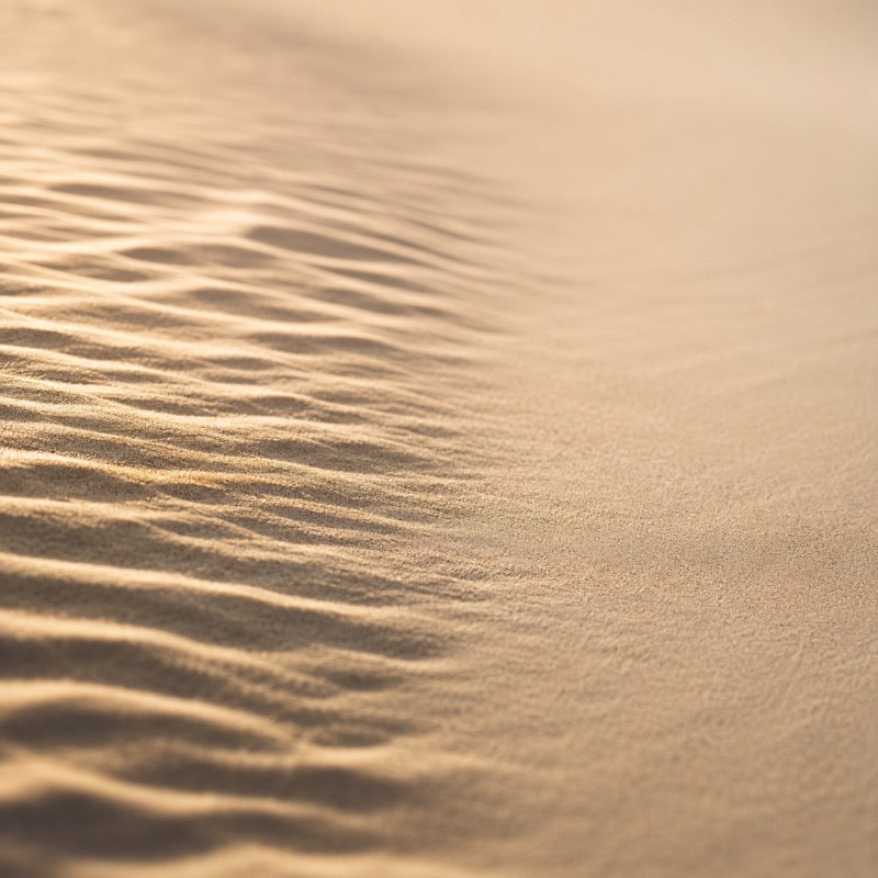Wind-smoothed pale sand with one gentle ripple fading into flatness in warm light